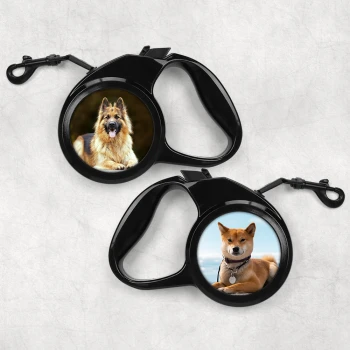 Повод за кучета