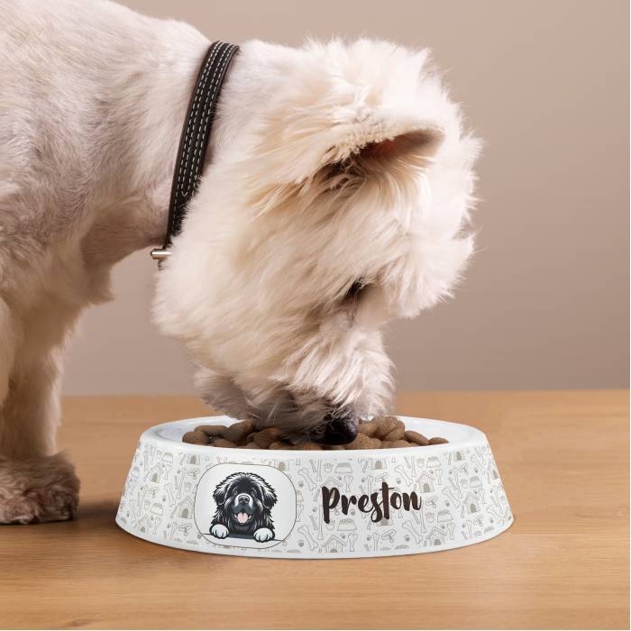 Персонализирана пластмасова купичка за кучета - Порода на кучето
