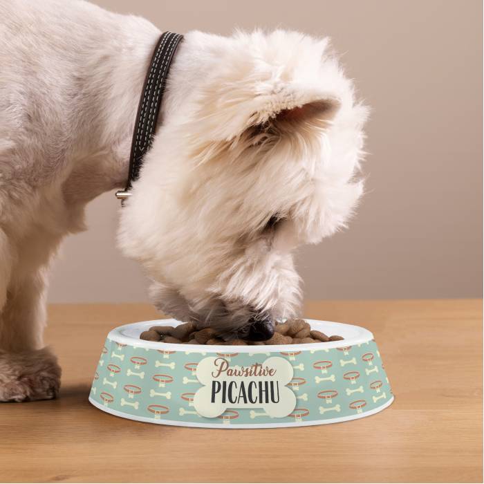 Персонализирана пластмасова купичка за кучета - Лапичка позитивност