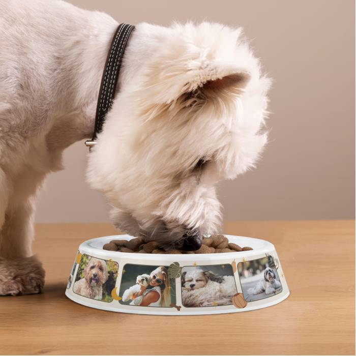 Персонализирана пластмасова купичка за кучета – Фото колаж