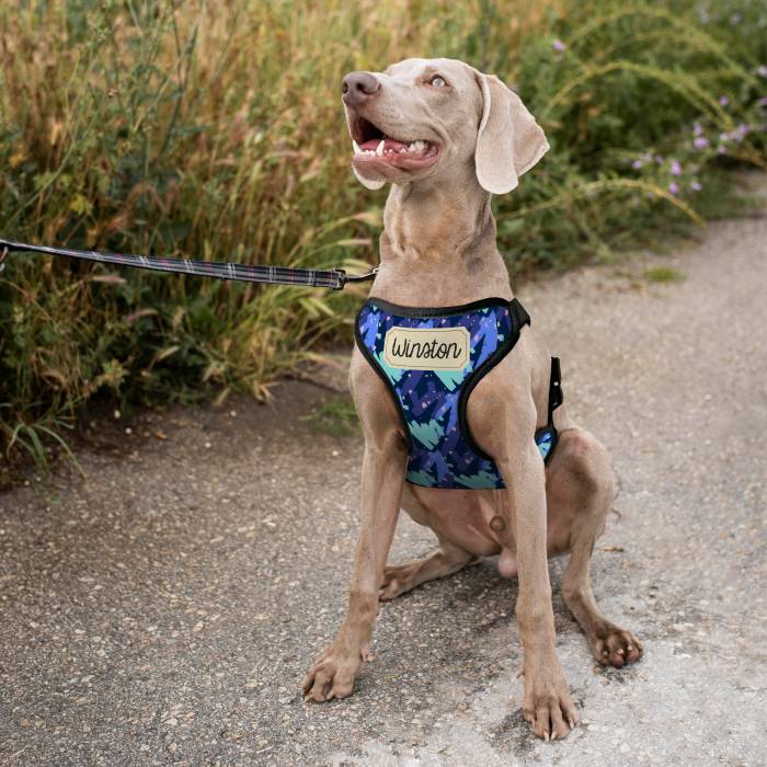 Персонализиран нагръдник за куче - С име