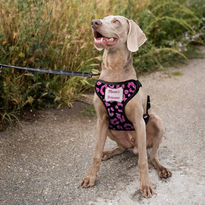 Персонализиран нагръдник за куче - Принцеса