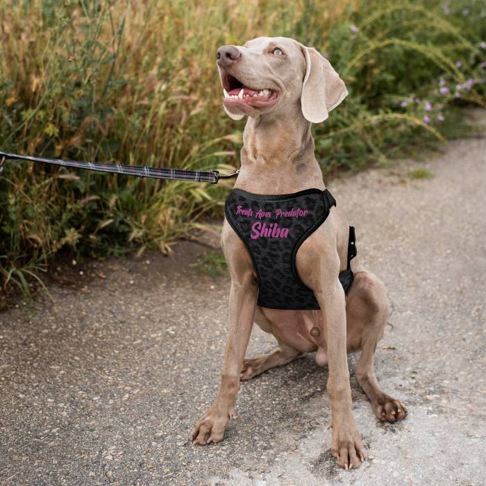 Персонализиран нагръдник за куче - Хищник