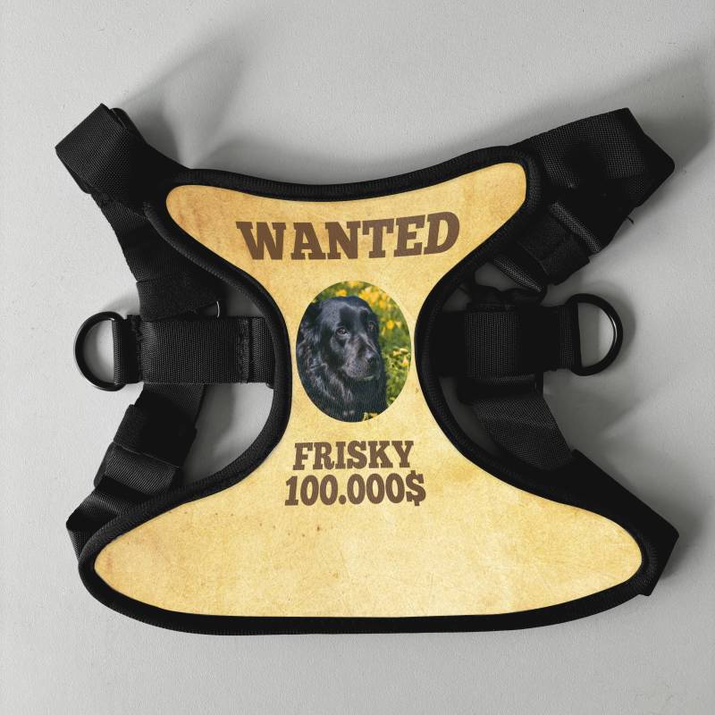 Персонализиран нагръдник за куче - Wanted