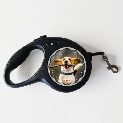 Каишка за куче – Всичко, от което се нуждаете